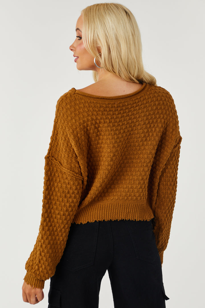 Brown Sugar Long Sleeve Cropped Textured Sweater