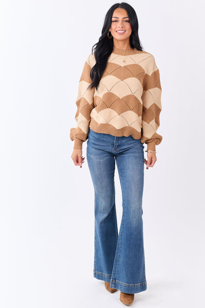 Brown Sugar Wavy Stripe Pointelle Cotton Sweater