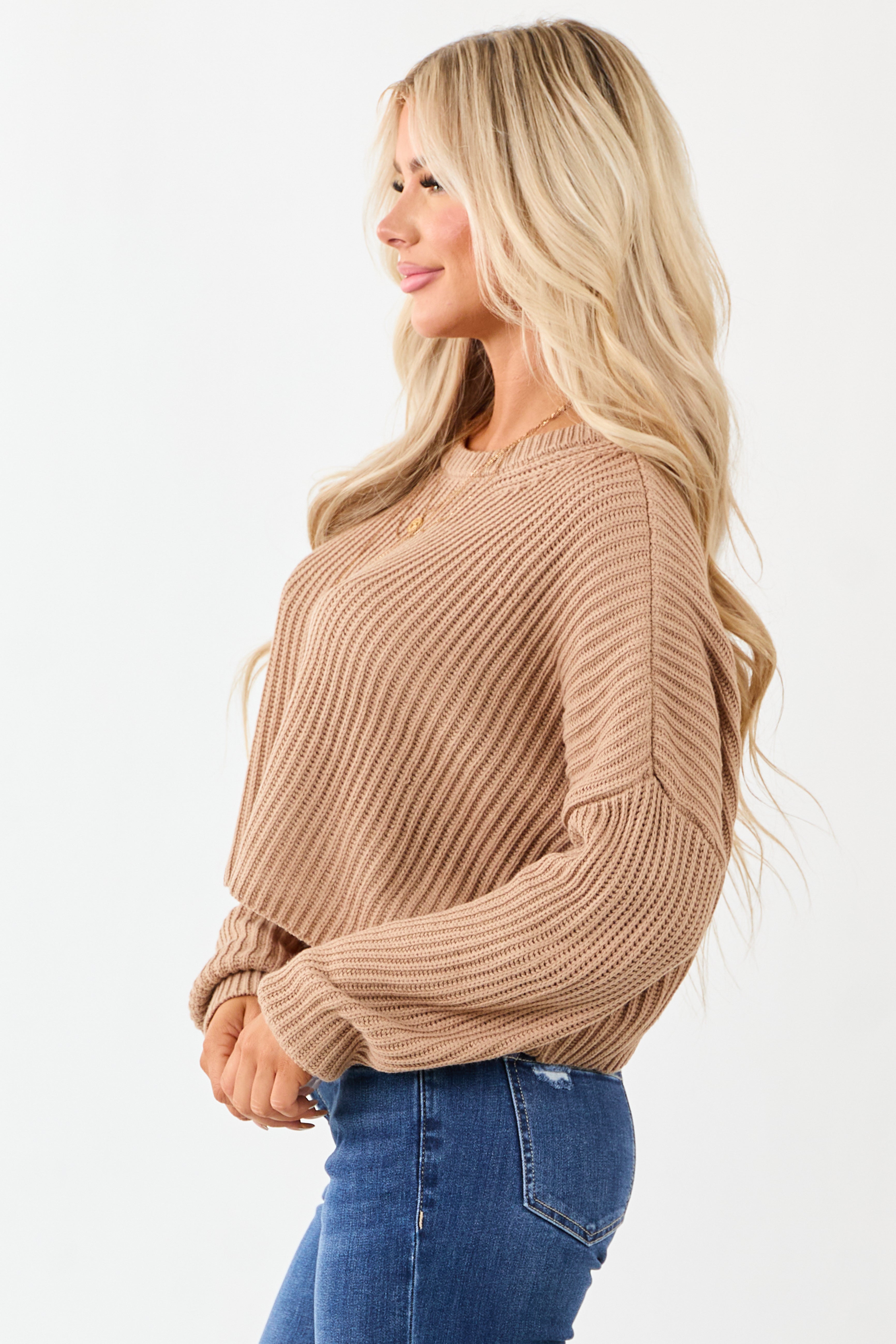 Camel Relaxed Rib Knit Crew Neck Cropped Sweater