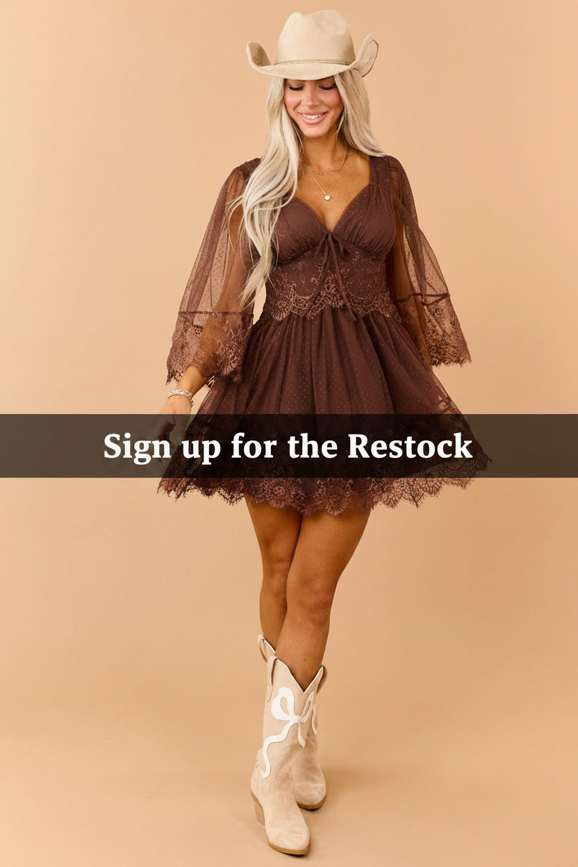 Cocoa Dotted Mesh Lace Trim Deep V Mini Dress