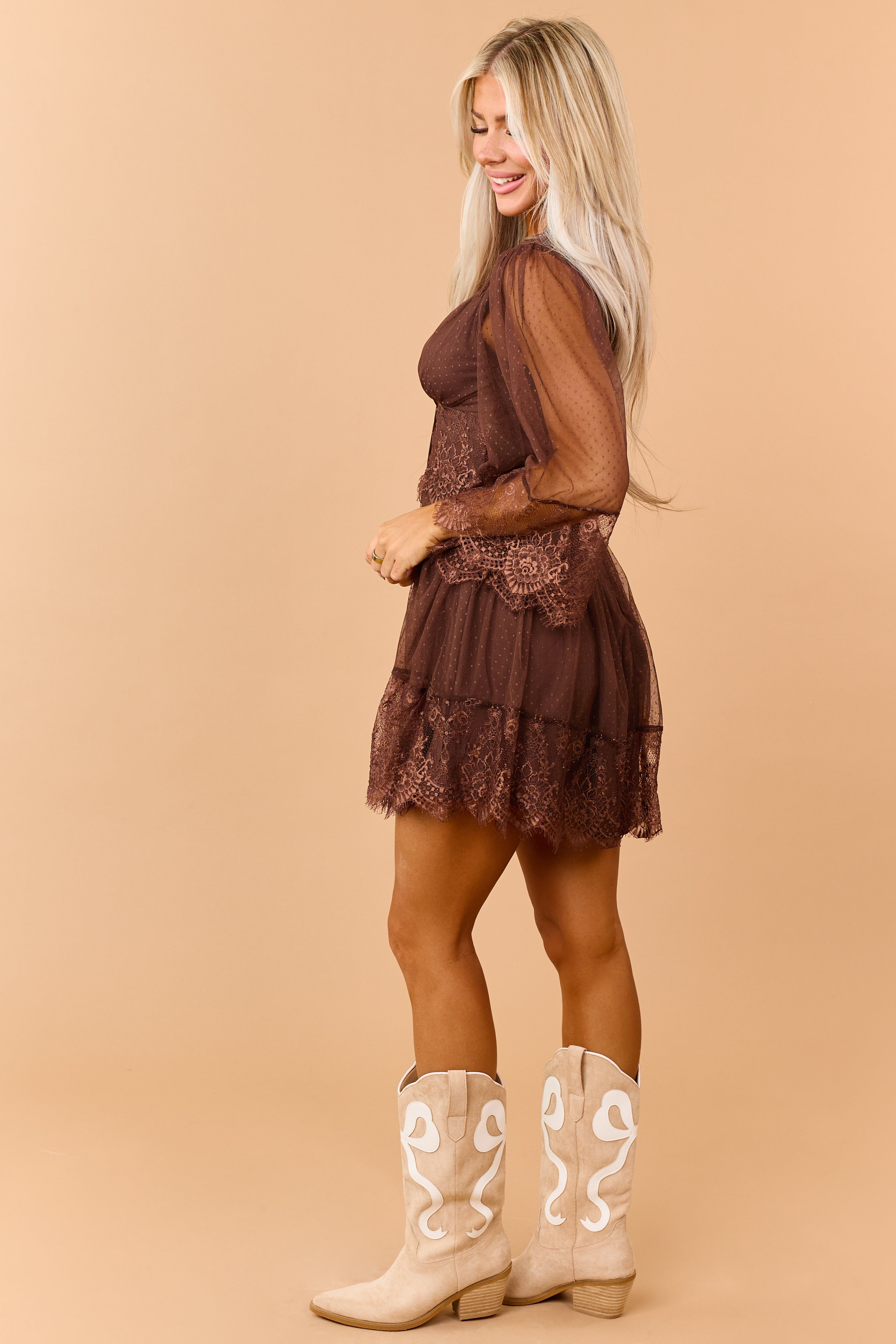 Cocoa Dotted Mesh Lace Trim Deep V Mini Dress