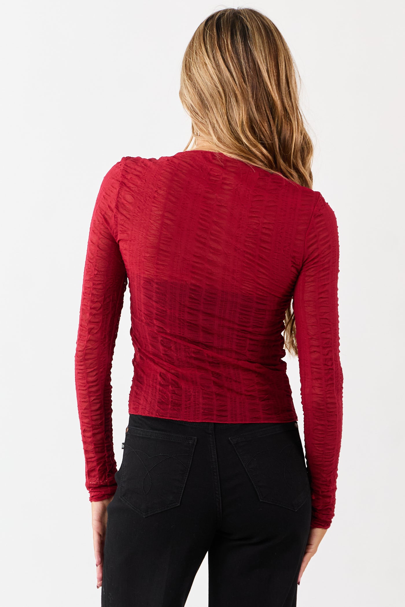 Cranberry Sheer Mesh Textured Long Sleeve Top