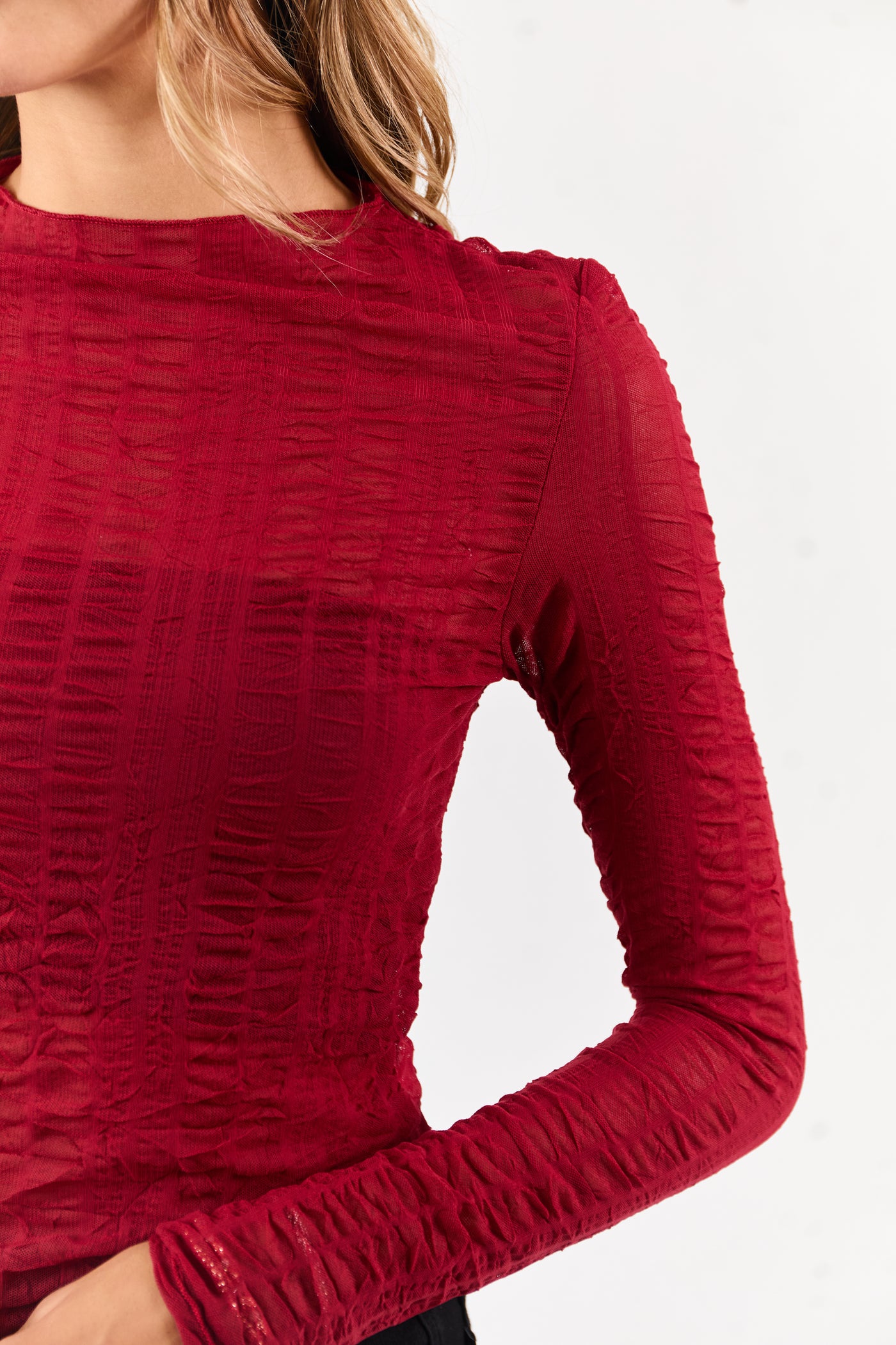Cranberry Sheer Mesh Textured Long Sleeve Top