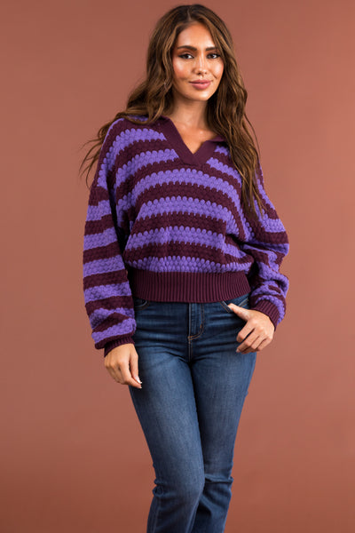 Iris and Eggplant Striped Collared Sweater