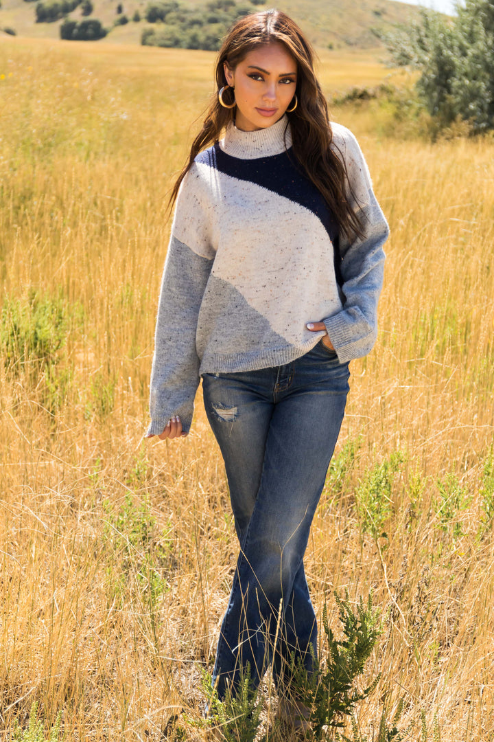 Navy Speckled Colorblock High Neck Knit Sweater