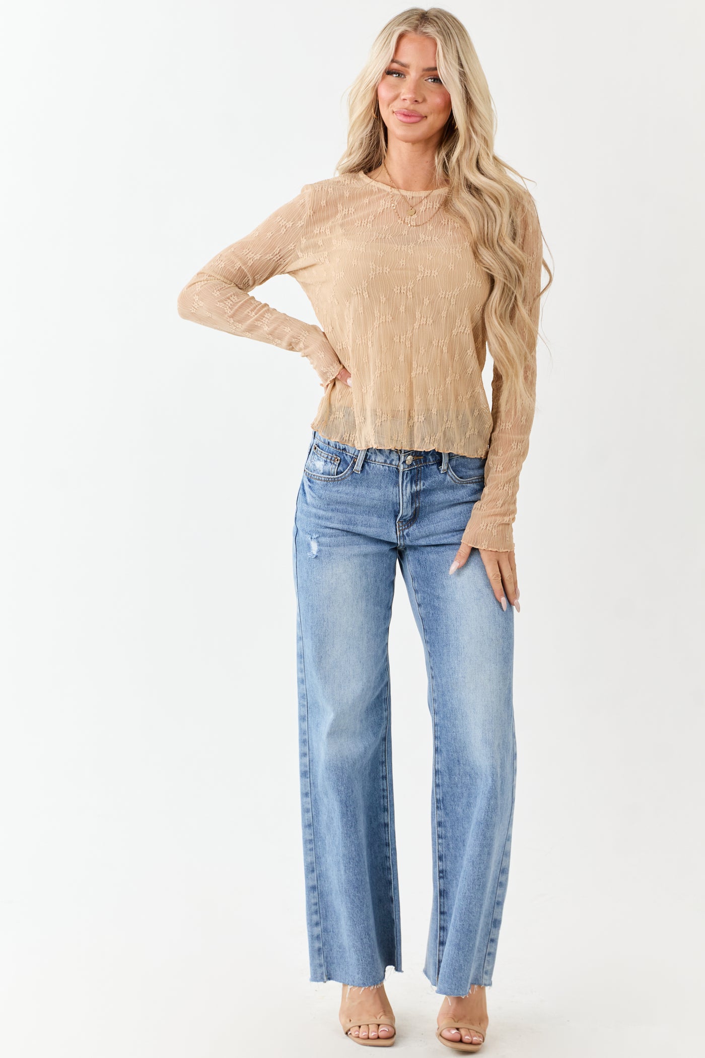 Nude Lace Round Neck Long Sleeve Top
