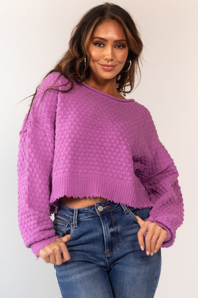 Orchid Long Sleeve Cropped Textured Sweater