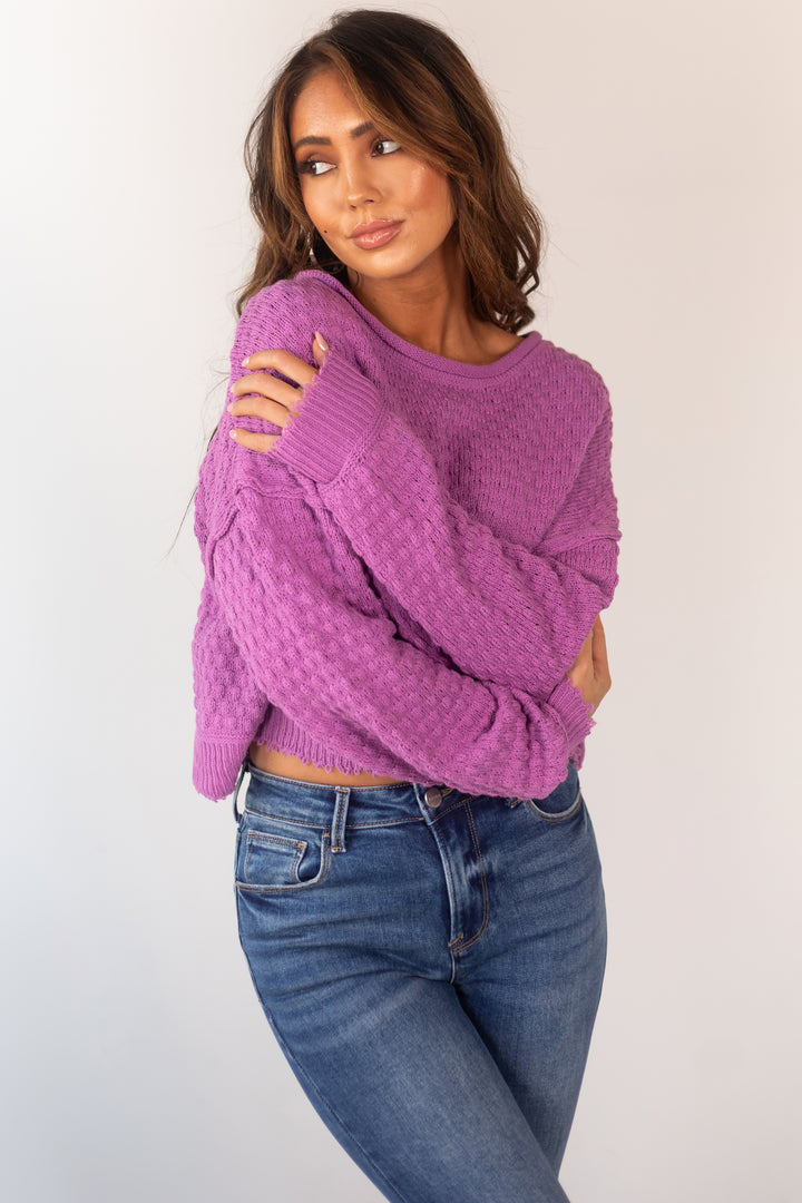 Orchid Long Sleeve Cropped Textured Sweater
