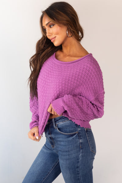 Orchid Long Sleeve Cropped Textured Sweater