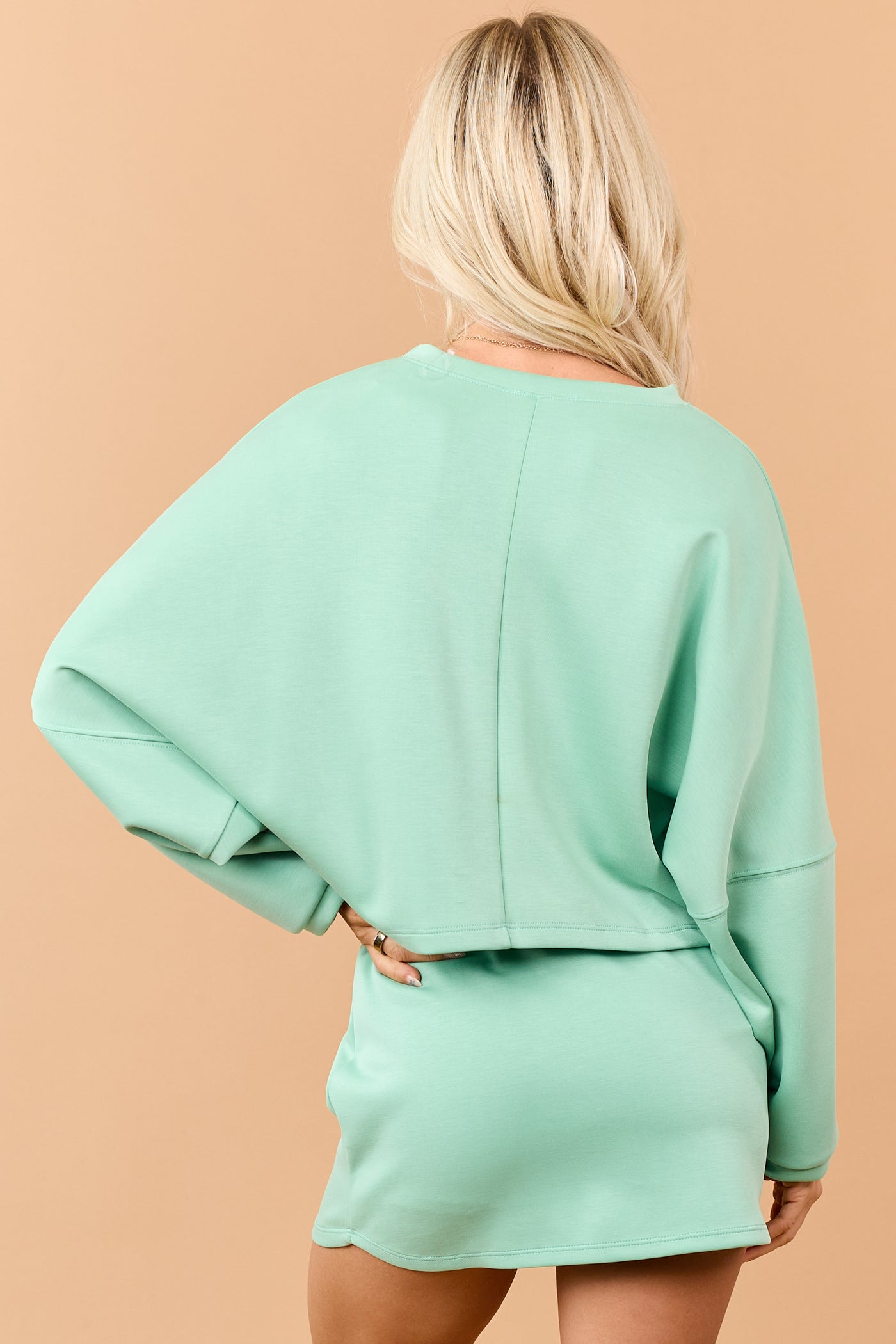 Pistachio Long Sleeve Soft Knit Crop Top