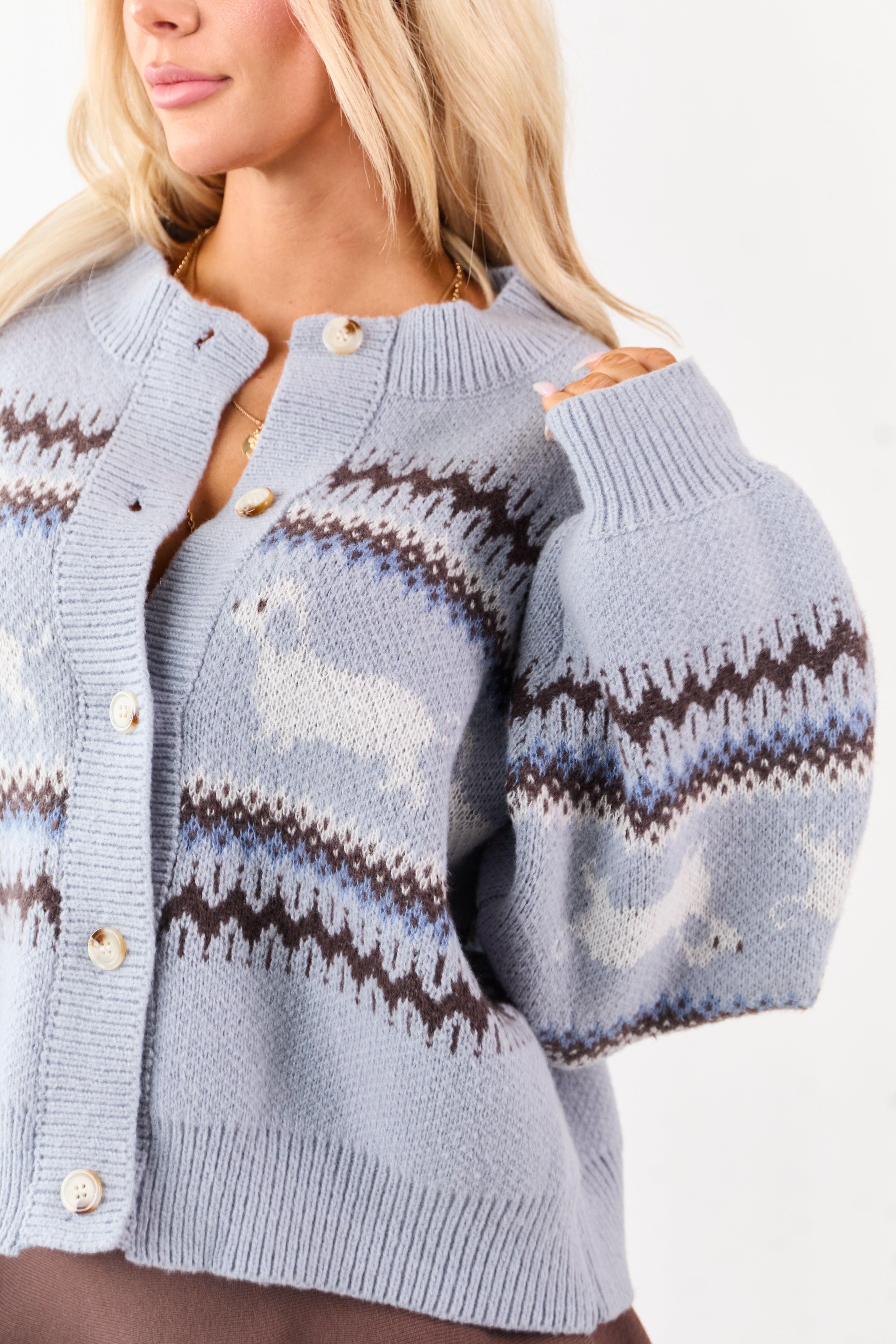 Powder Blue Fair Isle Pattern Button Down Cardigan
