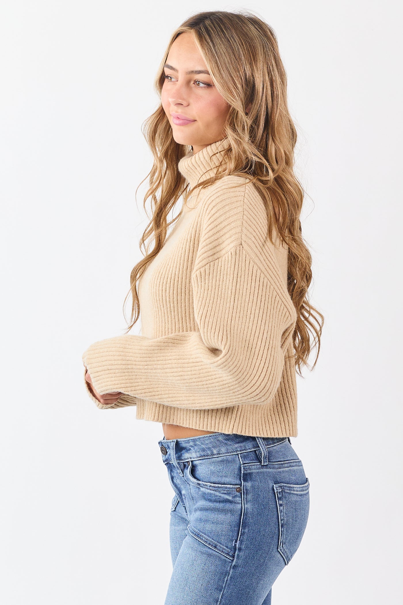 Sand Rib Knit Turtleneck Long Sleeve Crop Sweater
