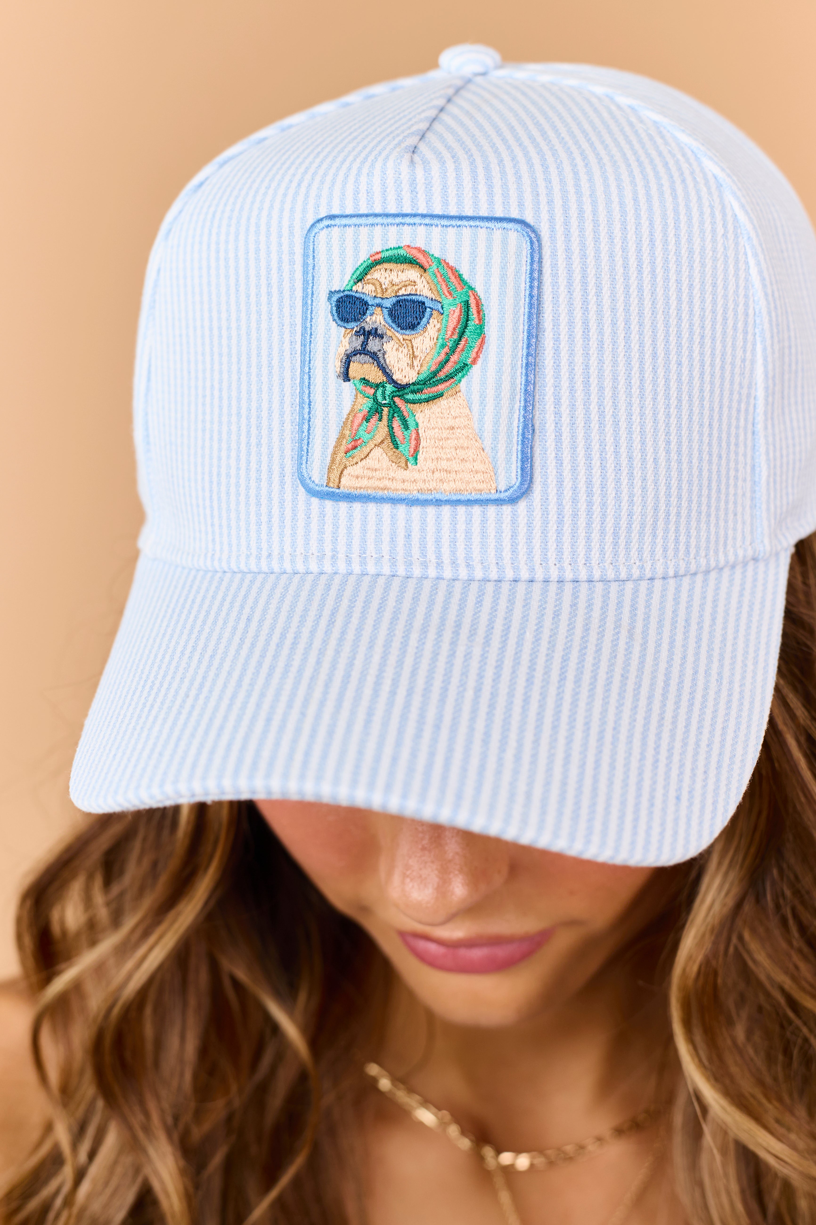 Sky Blue Striped Bulldog Embroidered Patch Hat
