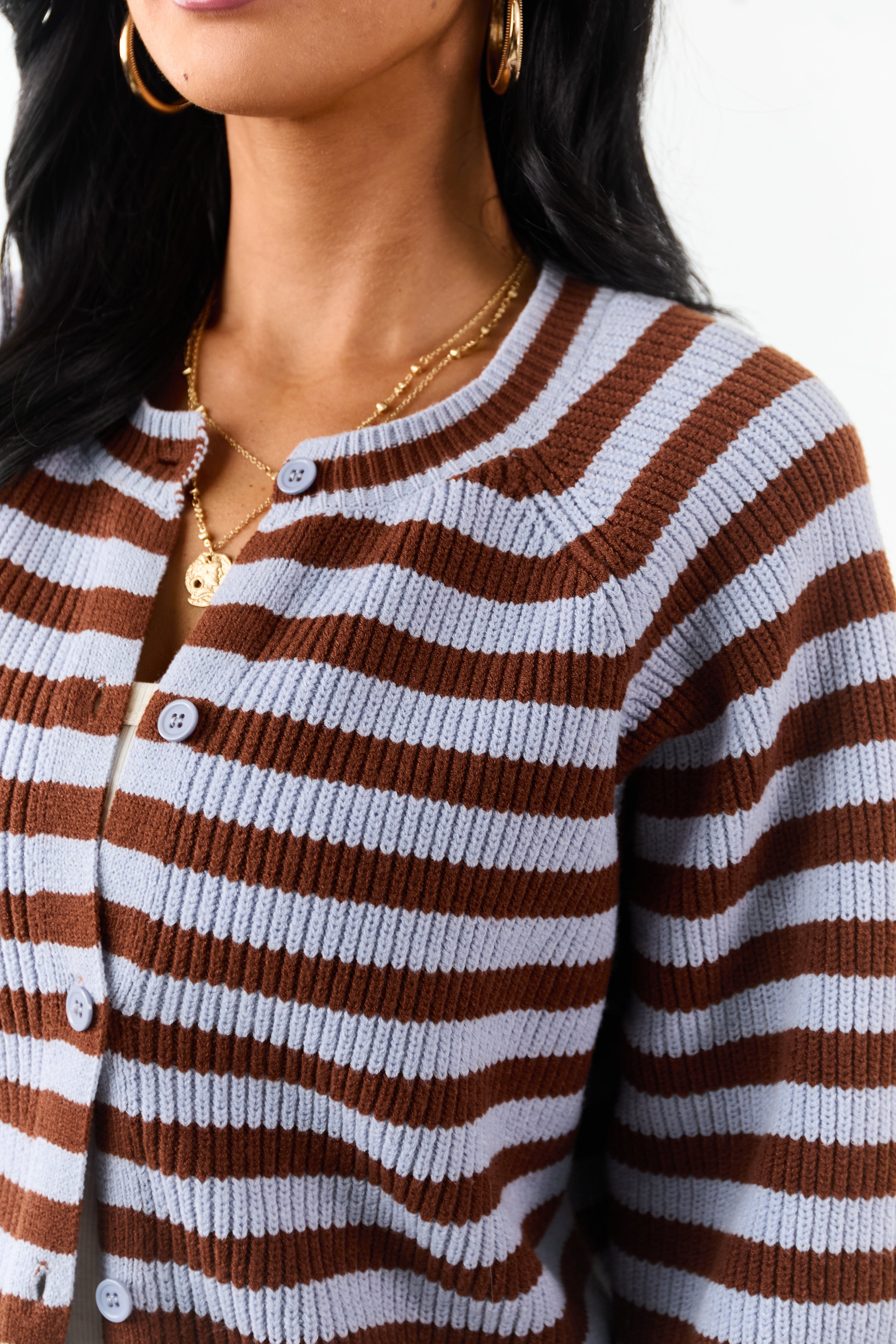 Slate Blue and Spice Striped Button Up Cardigan