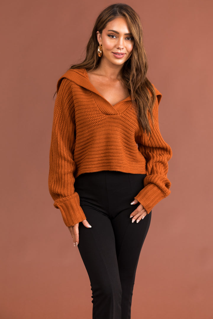 Tawny Collared V Neck Cropped Knit Sweater