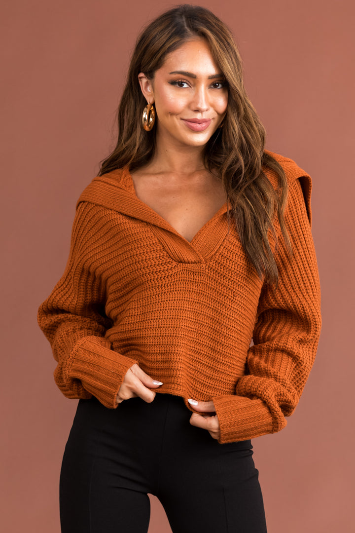Tawny Collared V Neck Cropped Knit Sweater