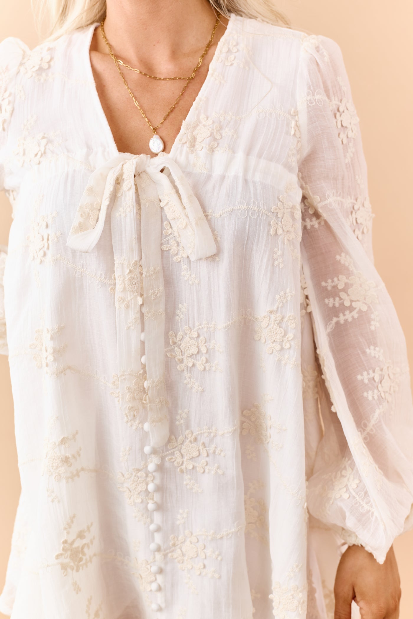 Vanilla Floral Applique Embroidered Flowy Mini Dress