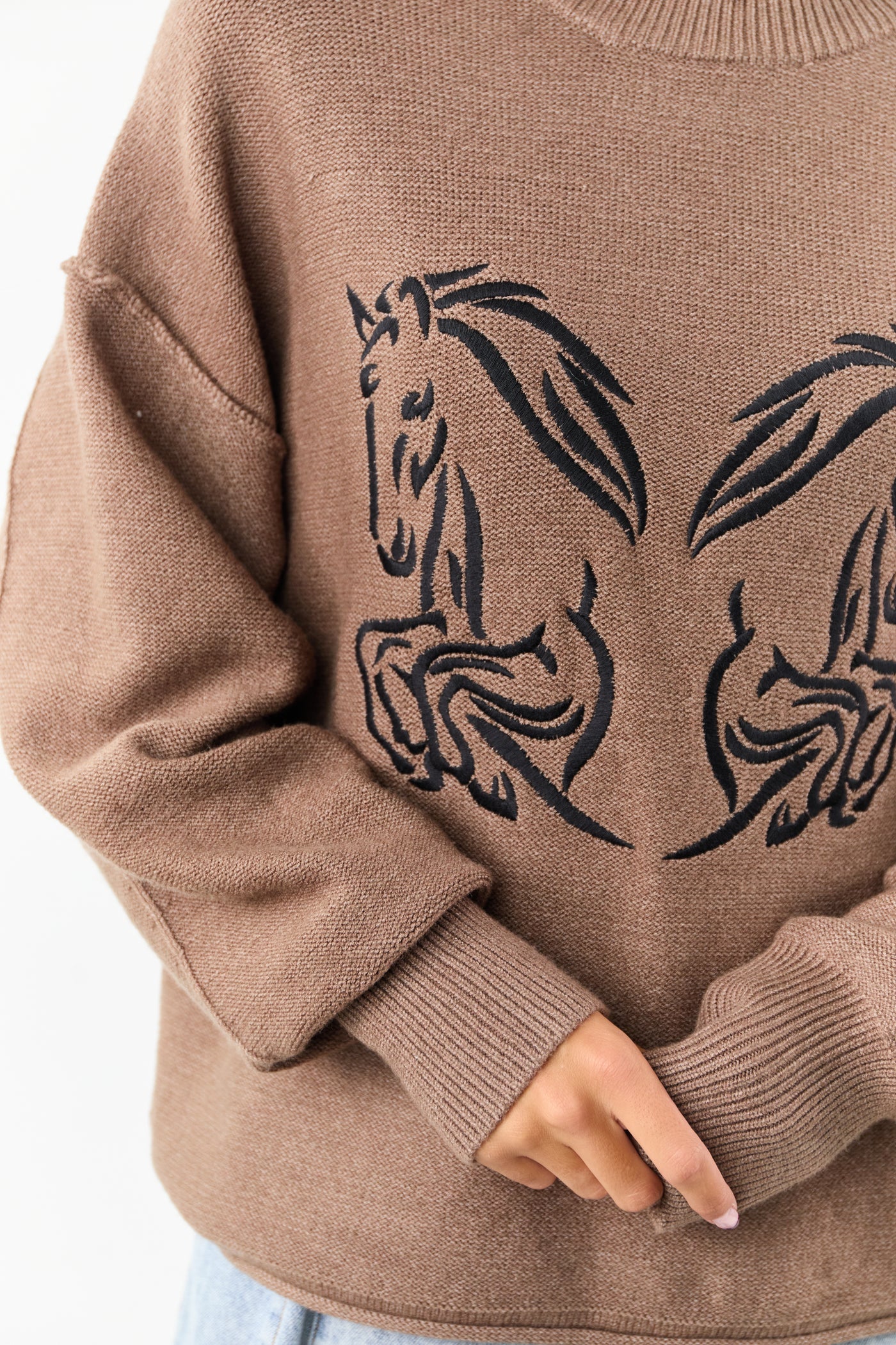 Walnut Horse Embroidered Graphic Knit Sweater