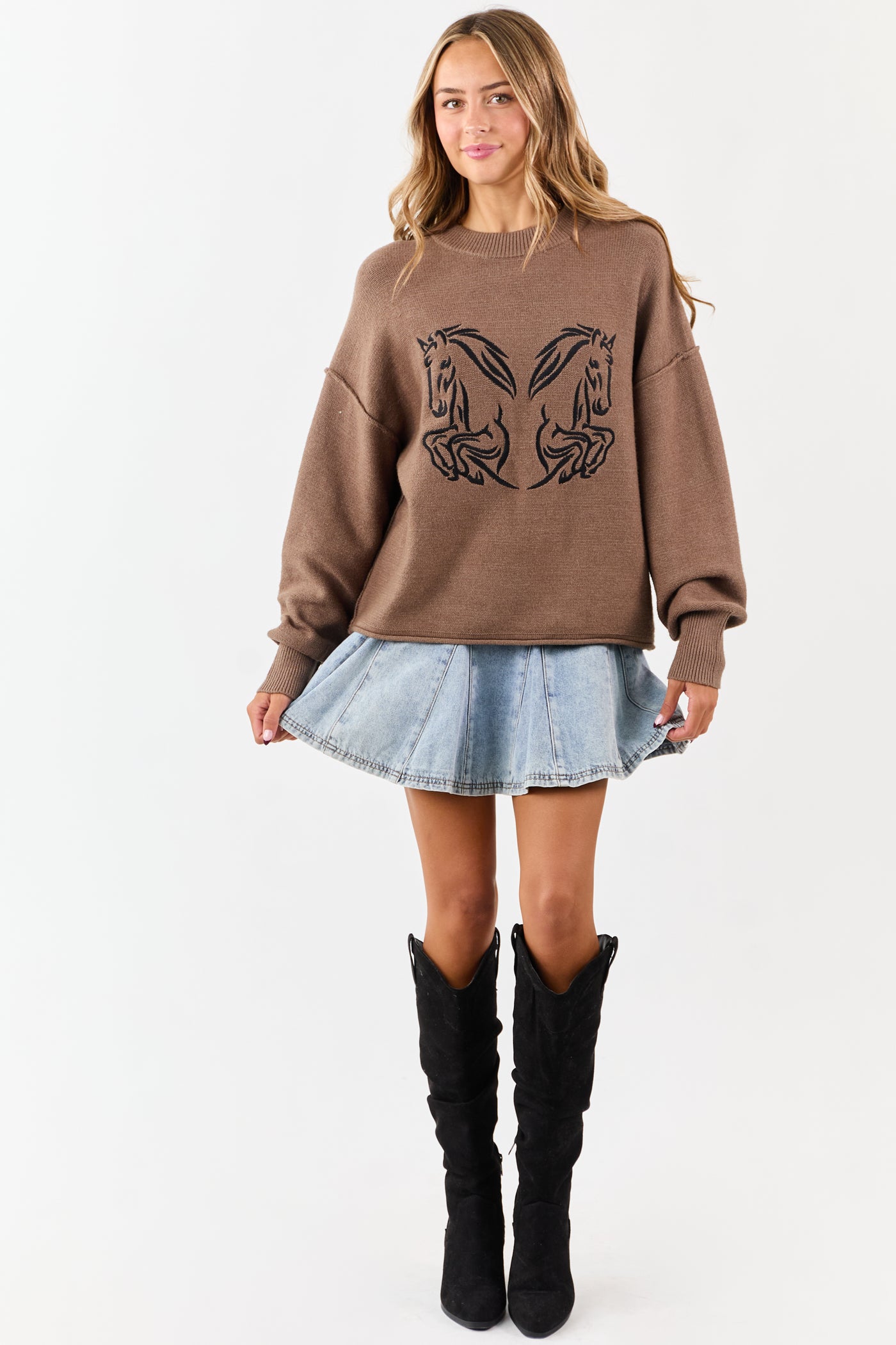 Walnut Horse Embroidered Graphic Knit Sweater