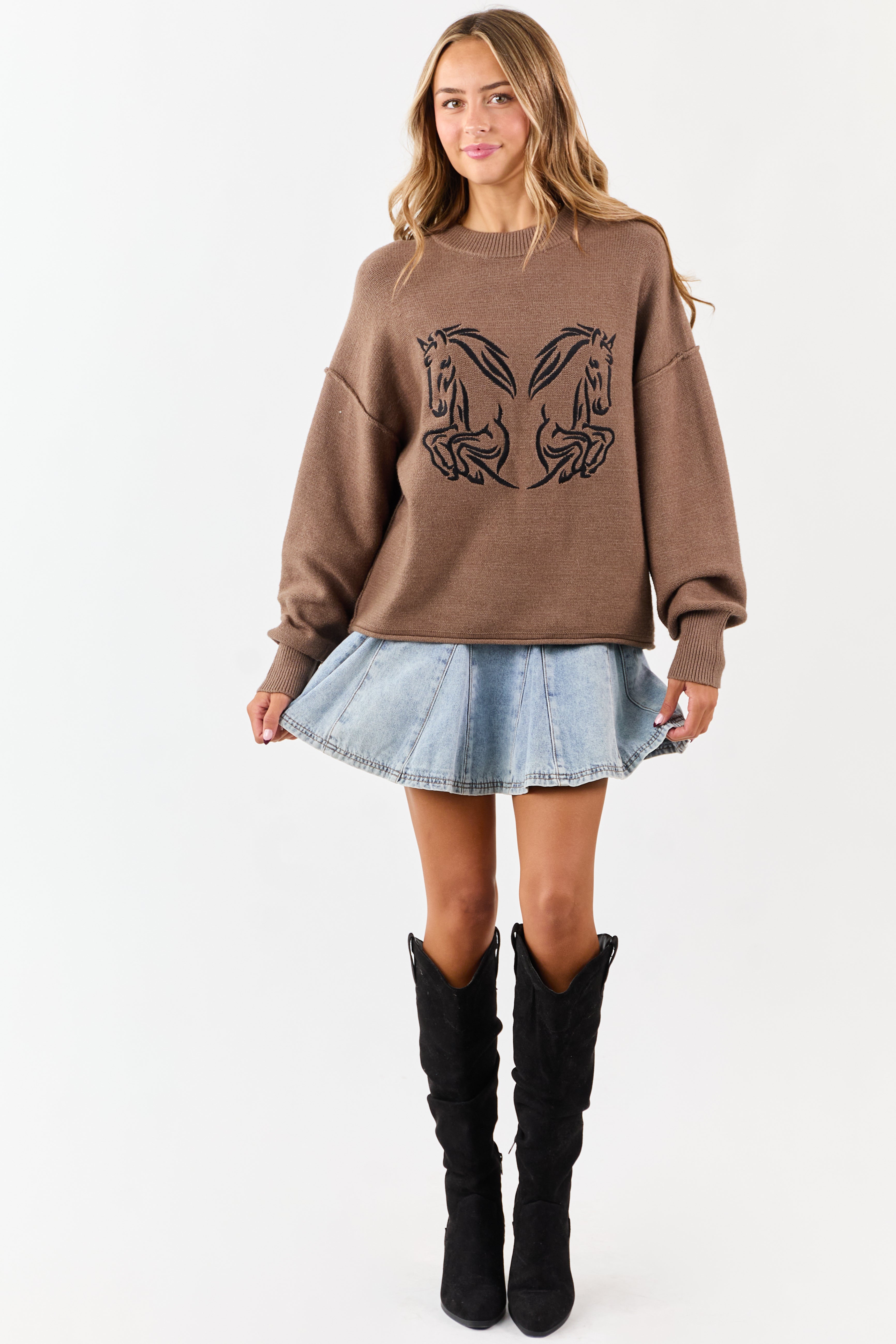Walnut Horse Embroidered Graphic Knit Sweater