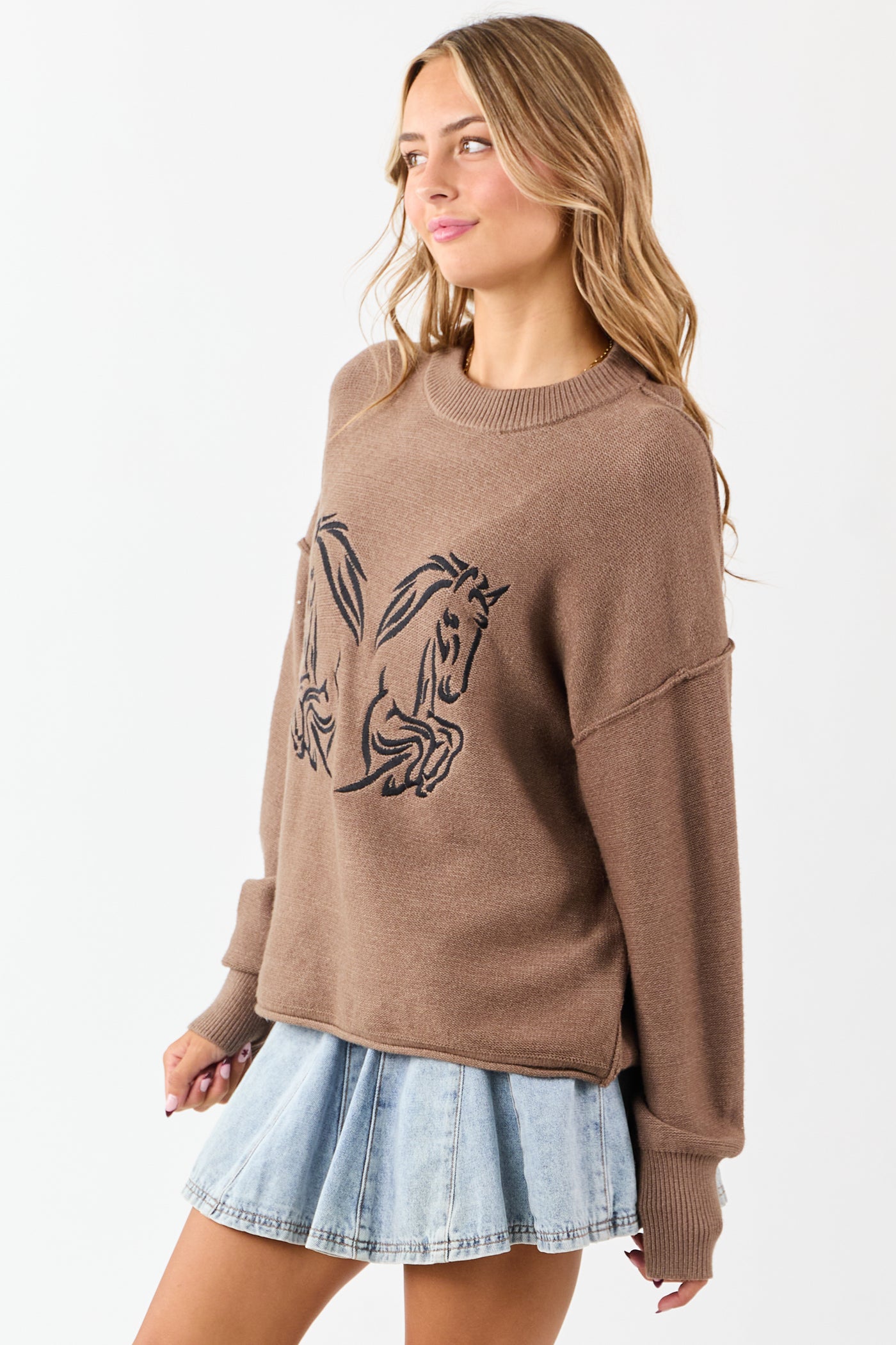 Walnut Horse Embroidered Graphic Knit Sweater