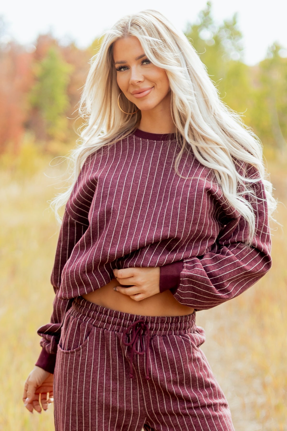 Wine Pinstripe Crew Neck Sweatshirt