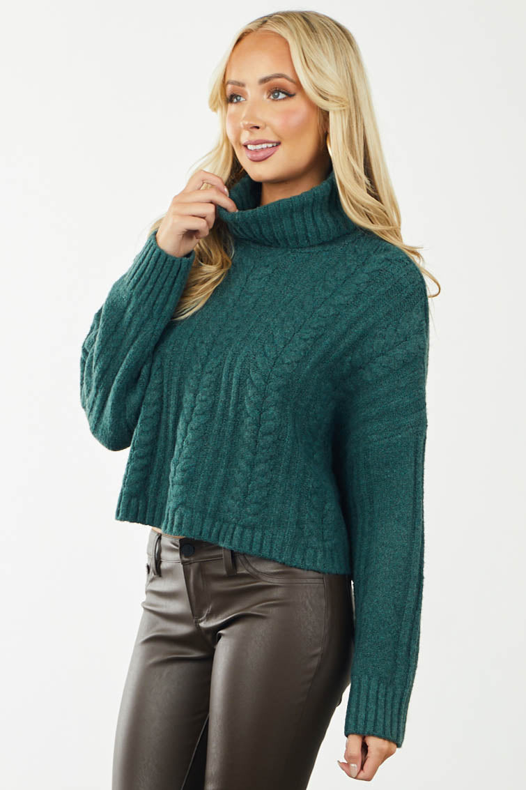 Pine Cable Knit Cropped Turtleneck Sweater